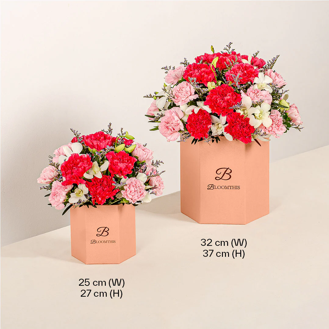 Phoebe Pink Carnation Flower Box - Image 9