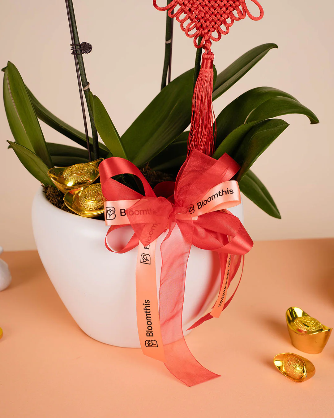 Pink CNY Phalaenopsis Orchid (3 stalks) - Image 5