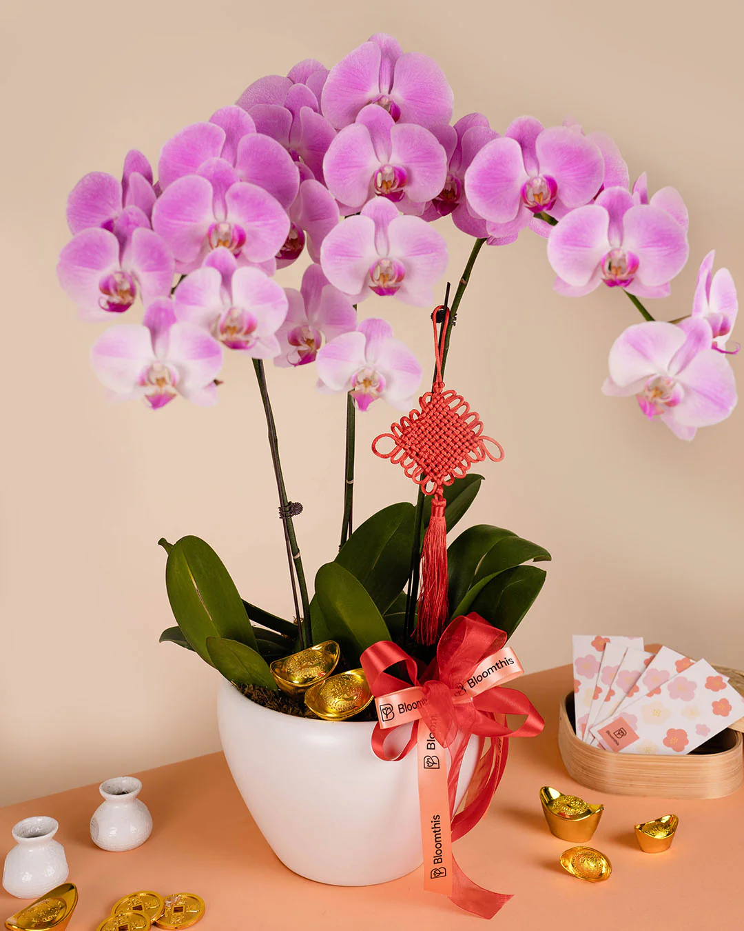 Pink CNY Phalaenopsis Orchid (3 stalks) - Image 6