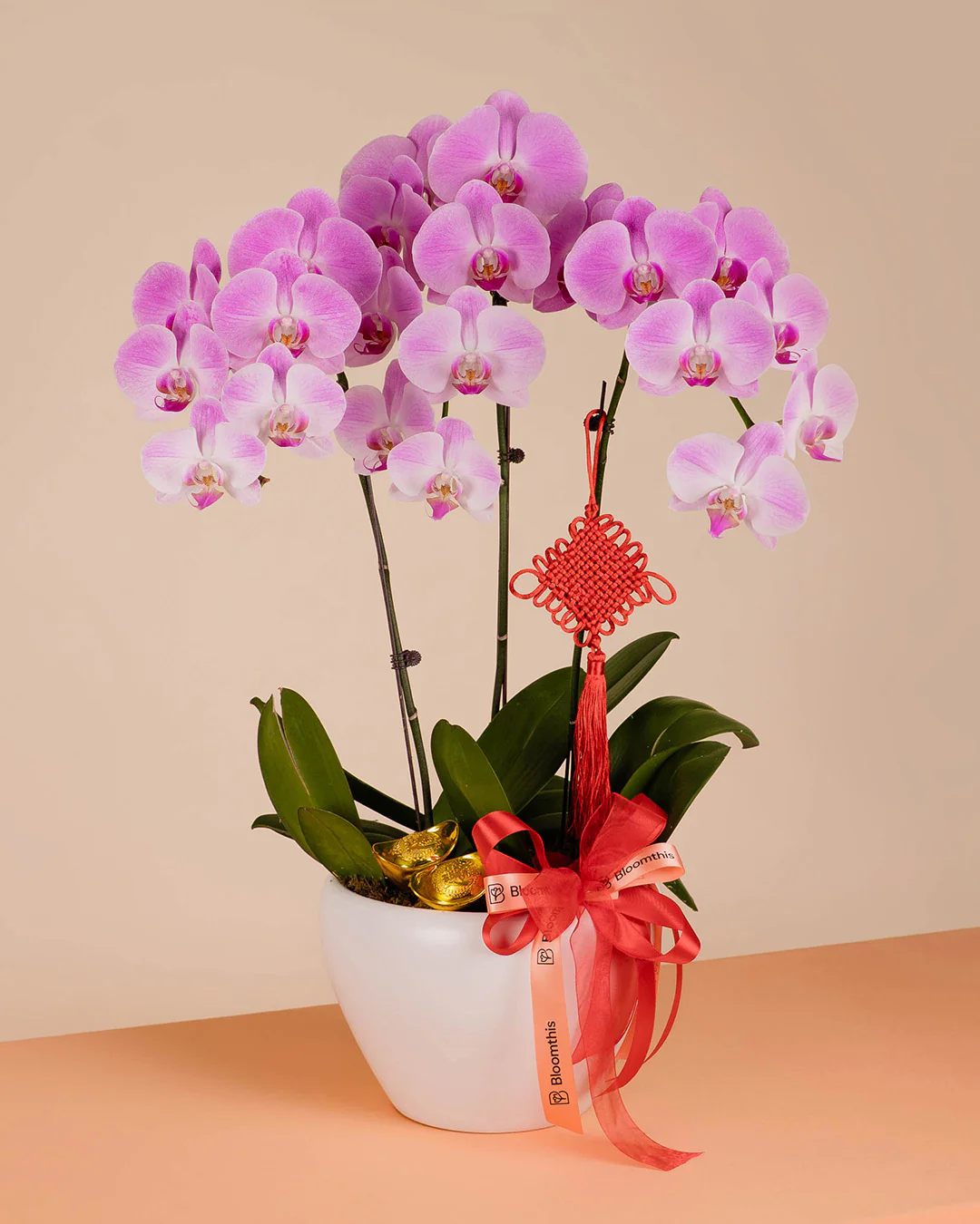 Pink CNY Phalaenopsis Orchid (3 stalks) - Image 7