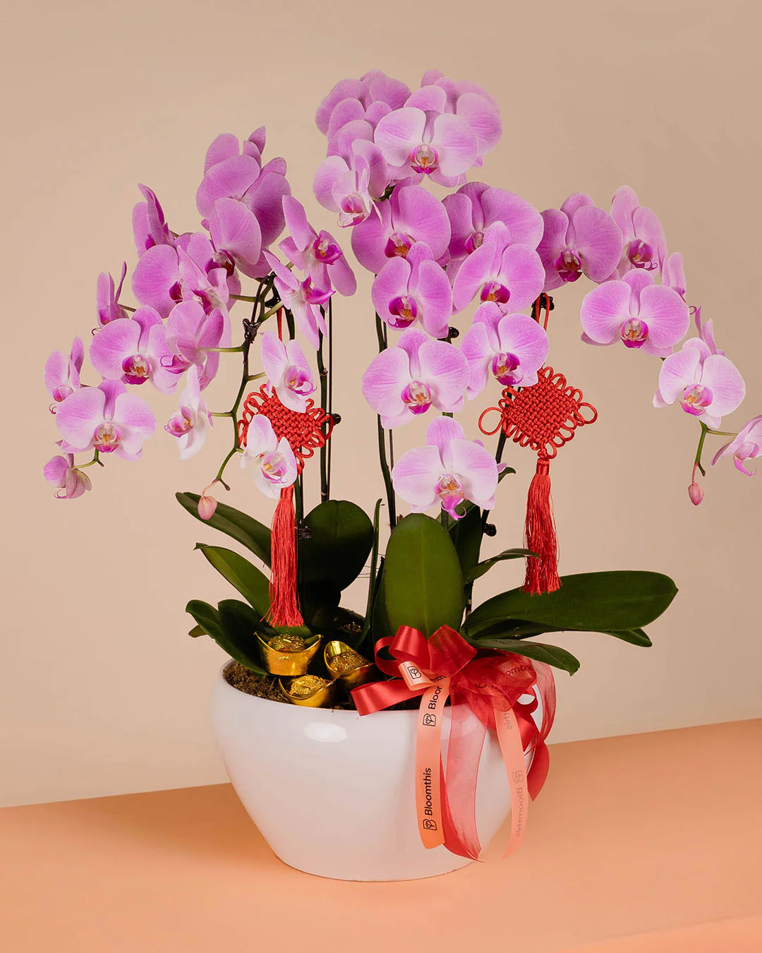 Pink CNY Phalaenopsis Orchid (5 stalks) - Image 7