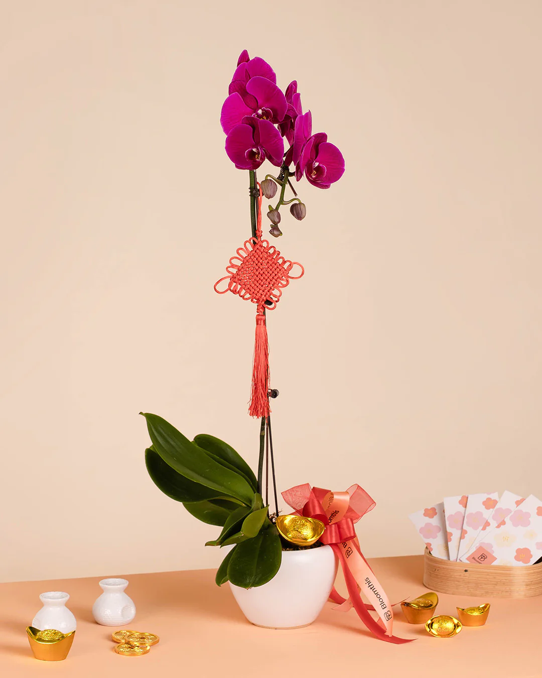 Purple CNY Phalaenopsis Orchid (1 stalk)