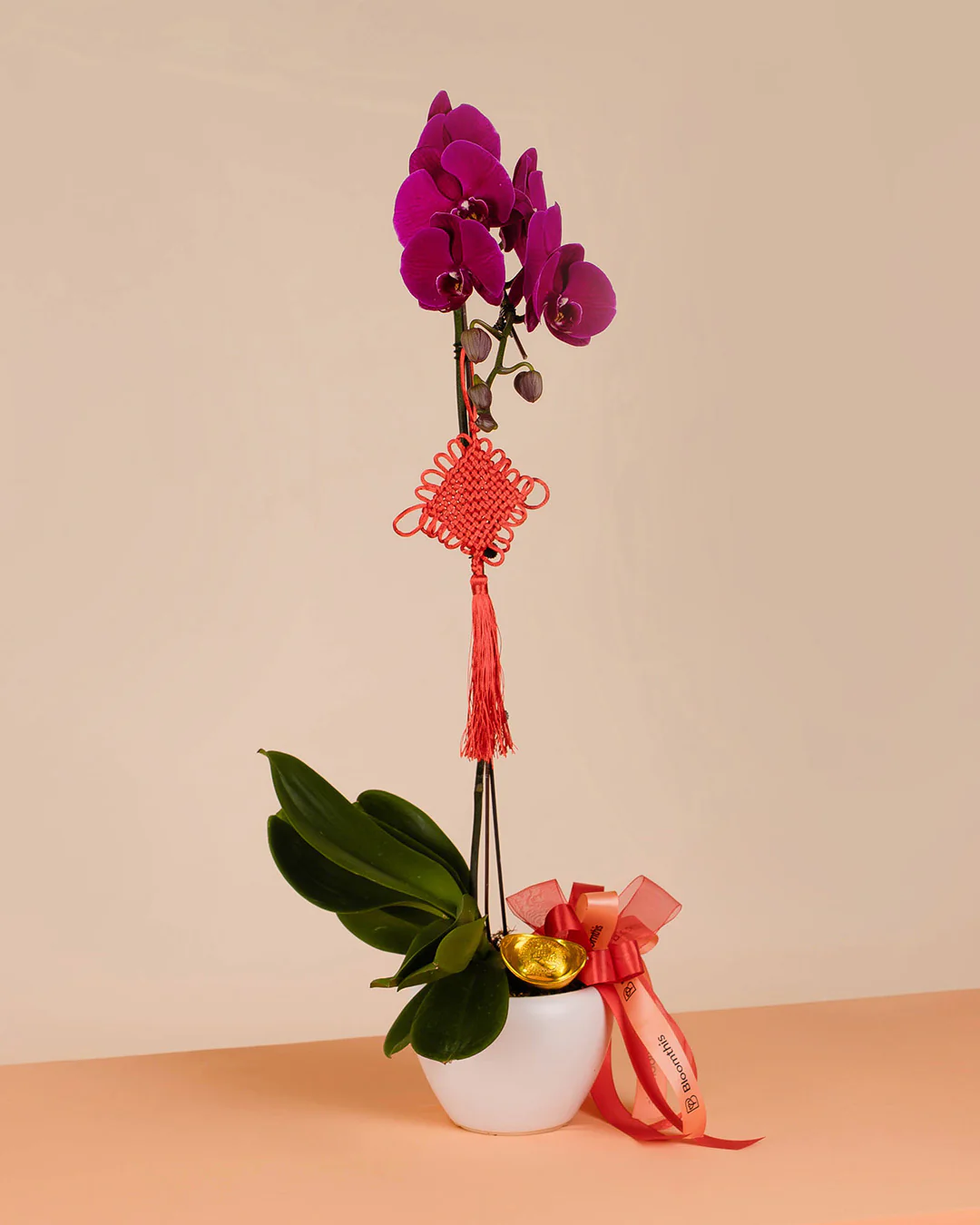 Purple CNY Phalaenopsis Orchid (1 stalk) - Image 6
