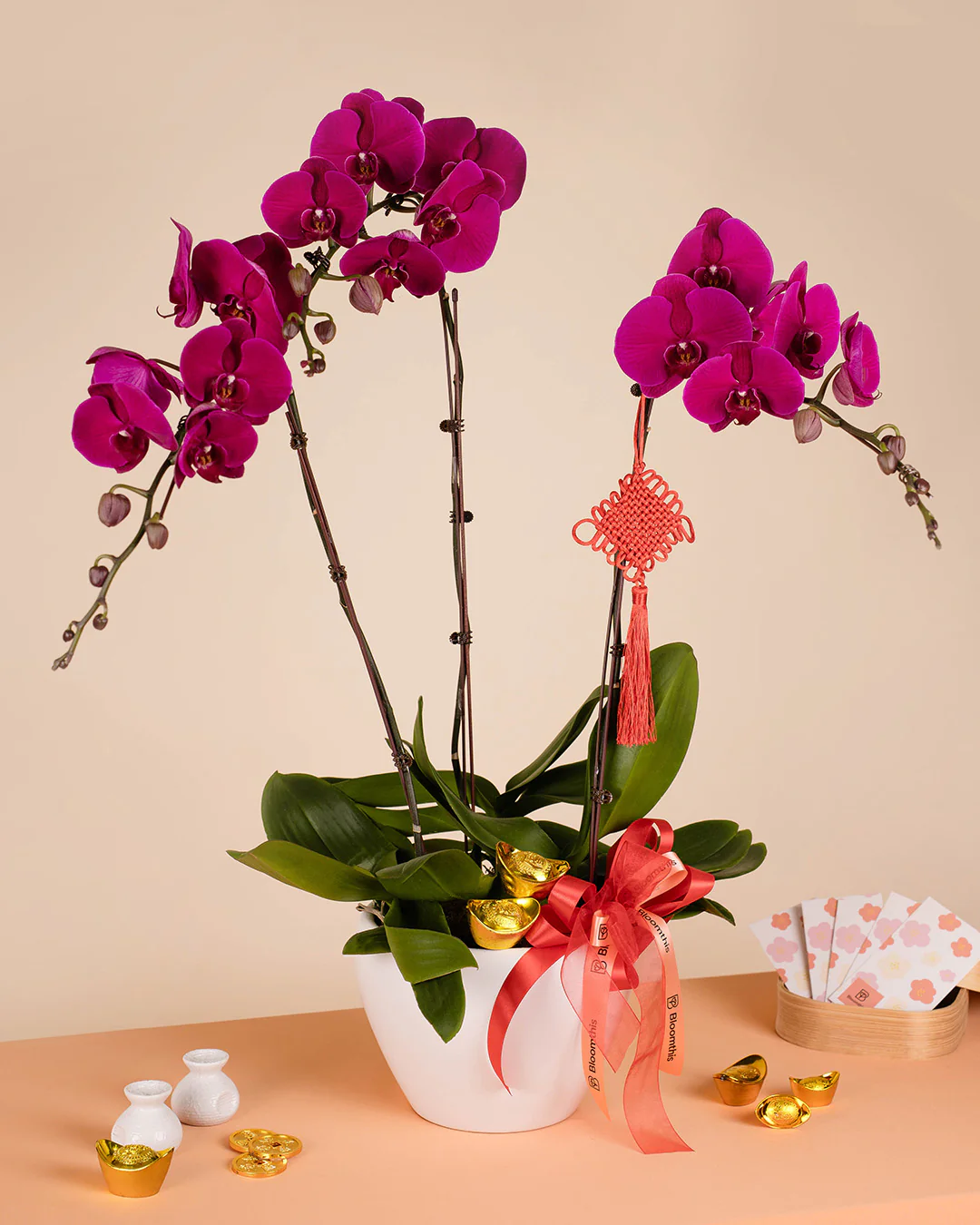 Purple CNY Phalaenopsis Orchid (3 stalks)