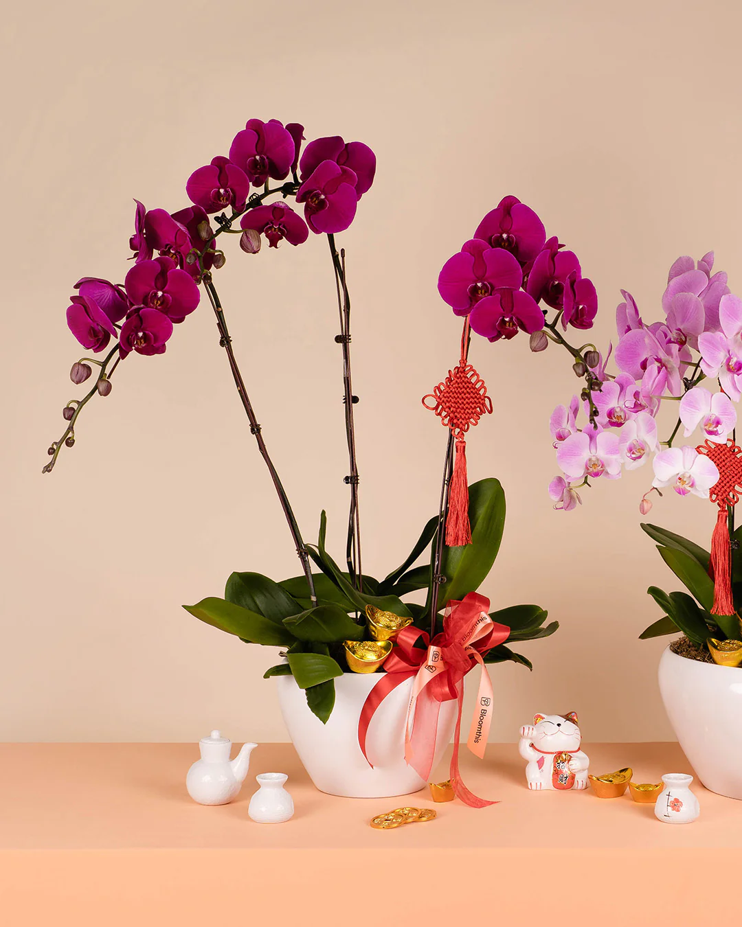Purple CNY Phalaenopsis Orchid (3 stalks) - Image 6