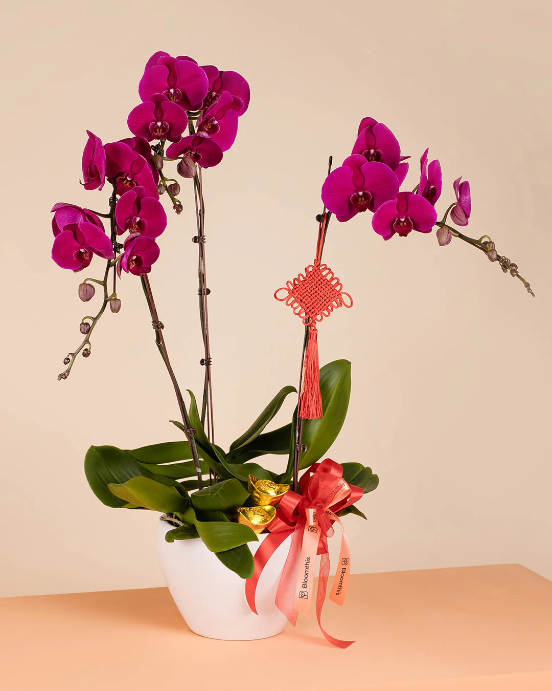 Purple CNY Phalaenopsis Orchid (3 stalks) - Image 7