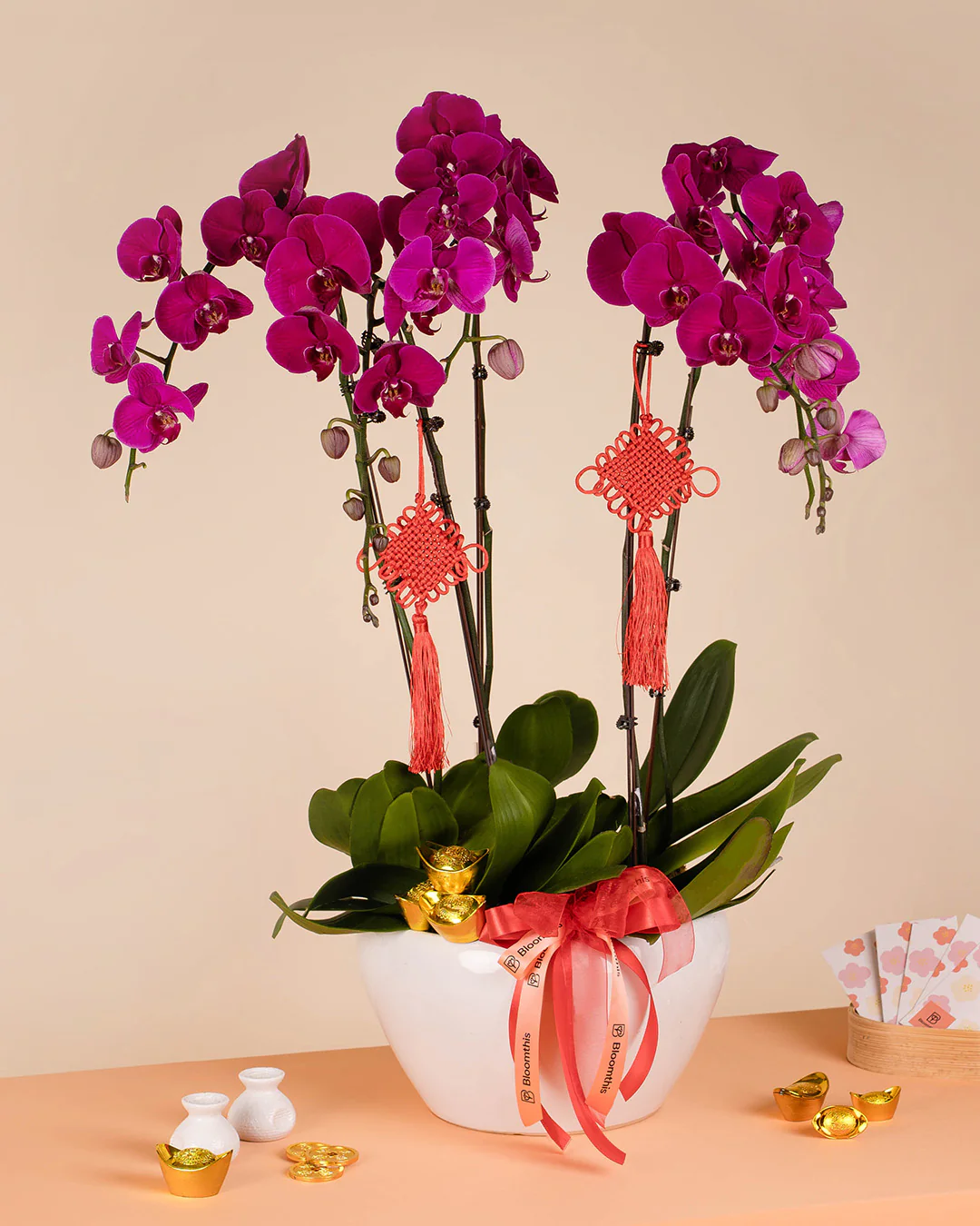 Purple CNY Phalaenopsis Orchid (5 stalks)