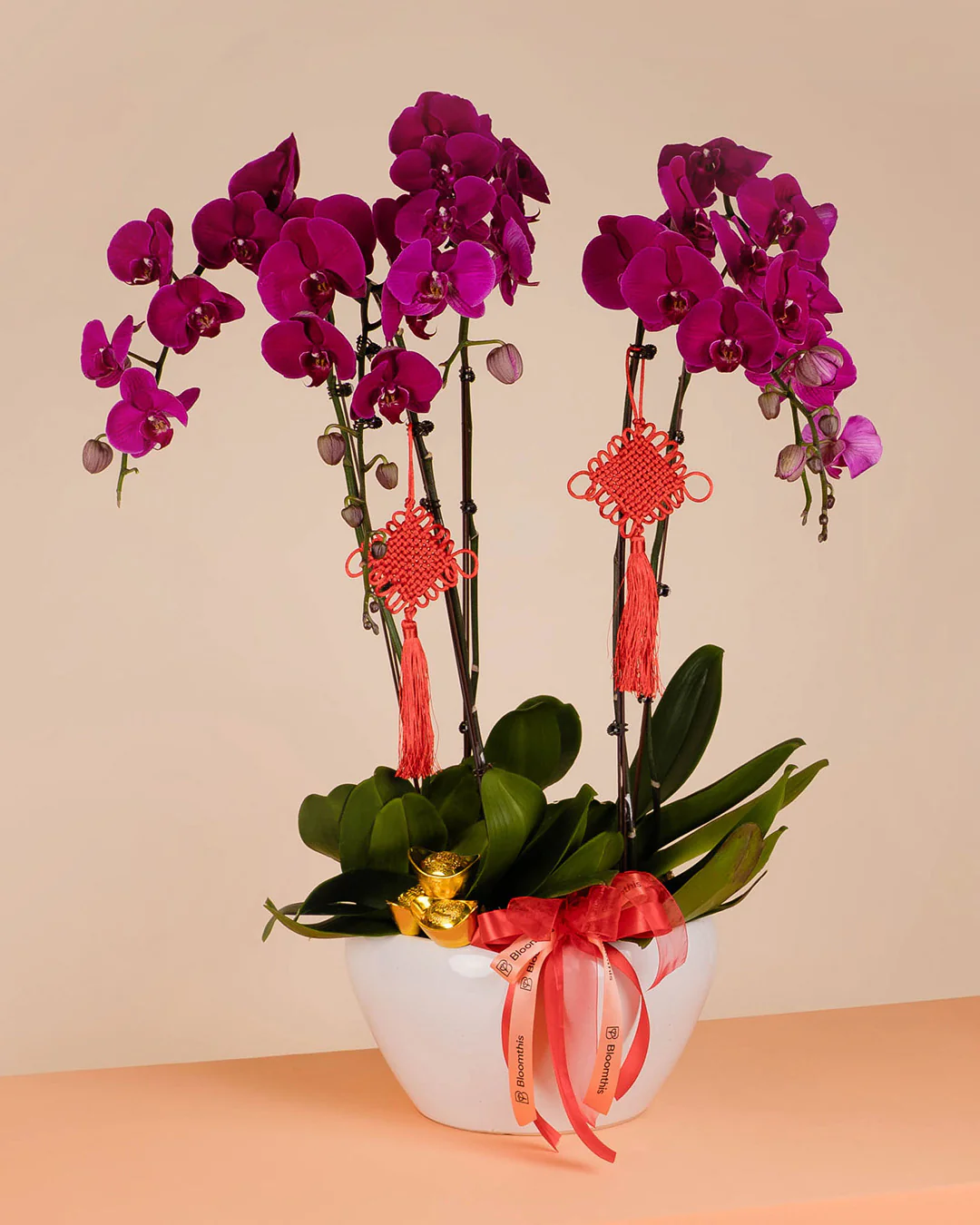 Purple CNY Phalaenopsis Orchid (5 stalks) - Image 5