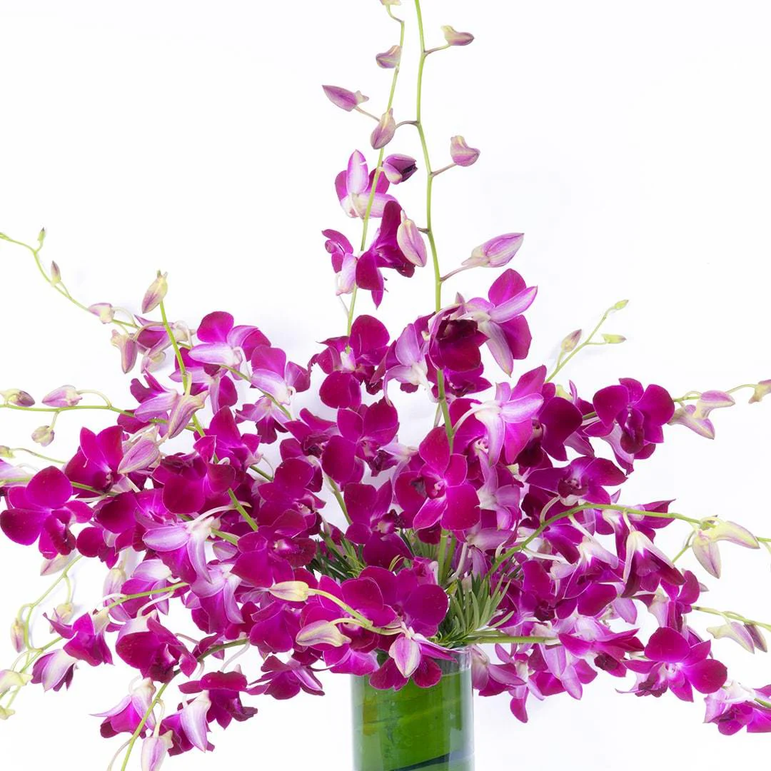 Raquel Purple Dendrobium Orchid Vase - Image 3