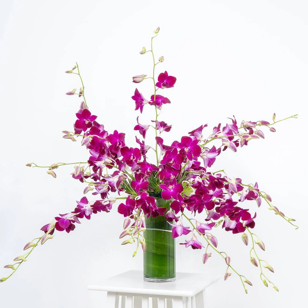 Raquel Purple Dendrobium Orchid Vase - Image 4