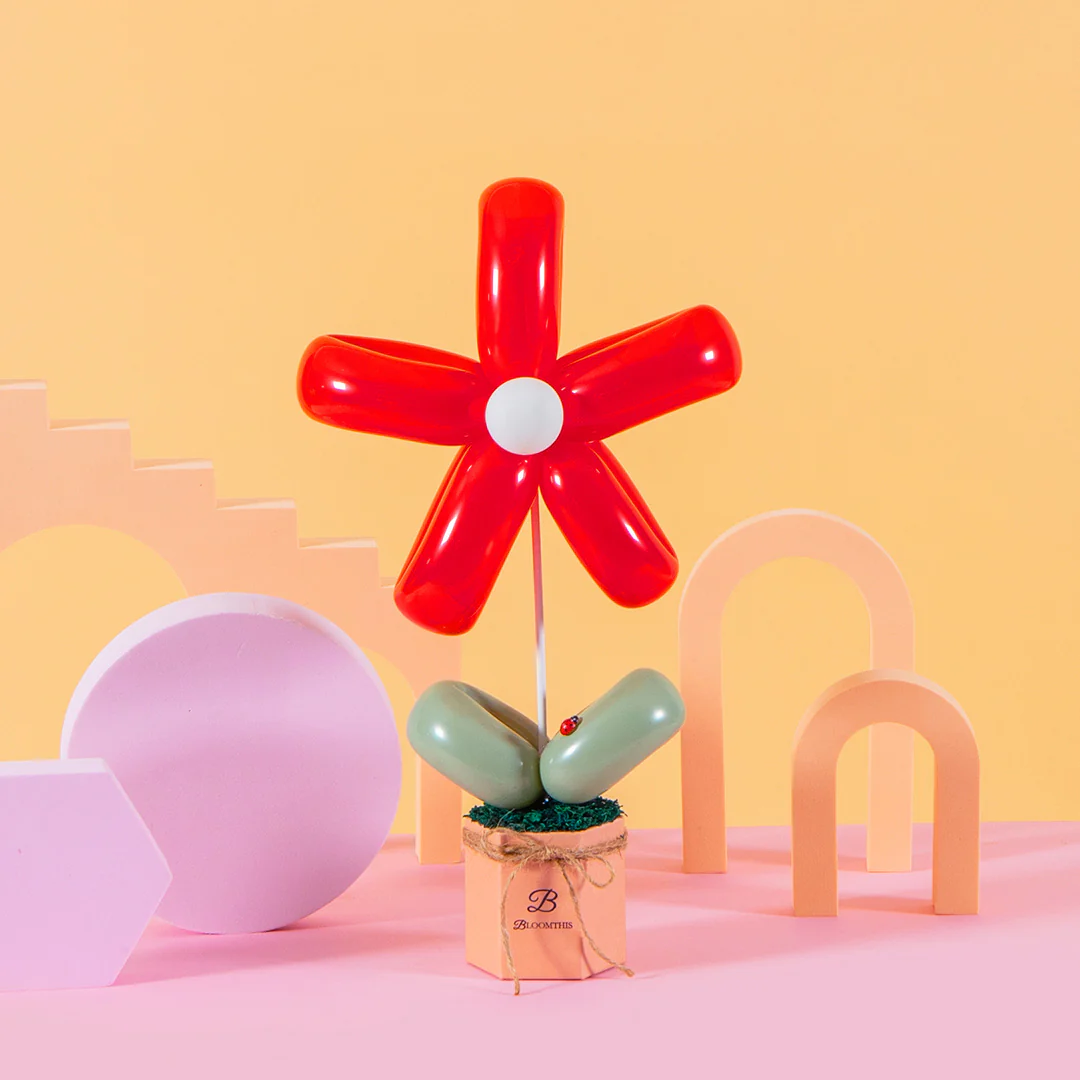 Red Daisy Balloon Box - Image 3