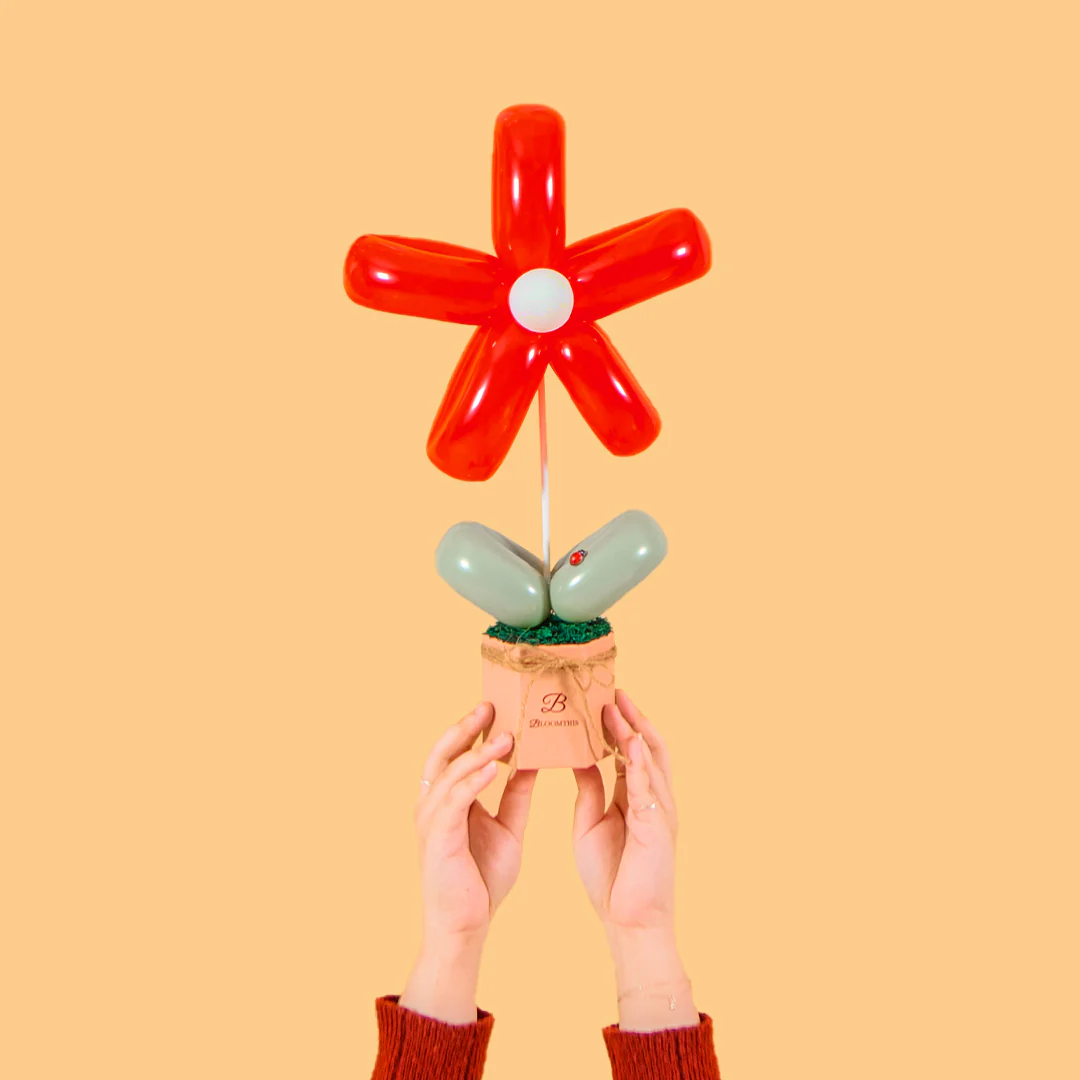 Red Daisy Balloon Box - Image 4
