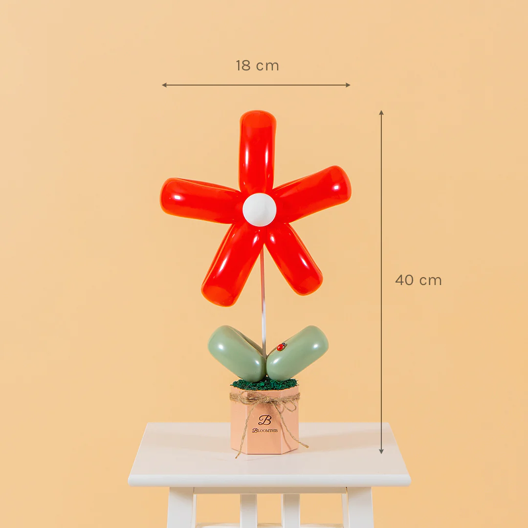 Red Daisy Balloon Box - Image 6