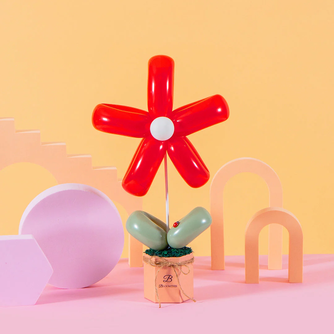 Red Daisy Balloon Box (AO) - Image 3