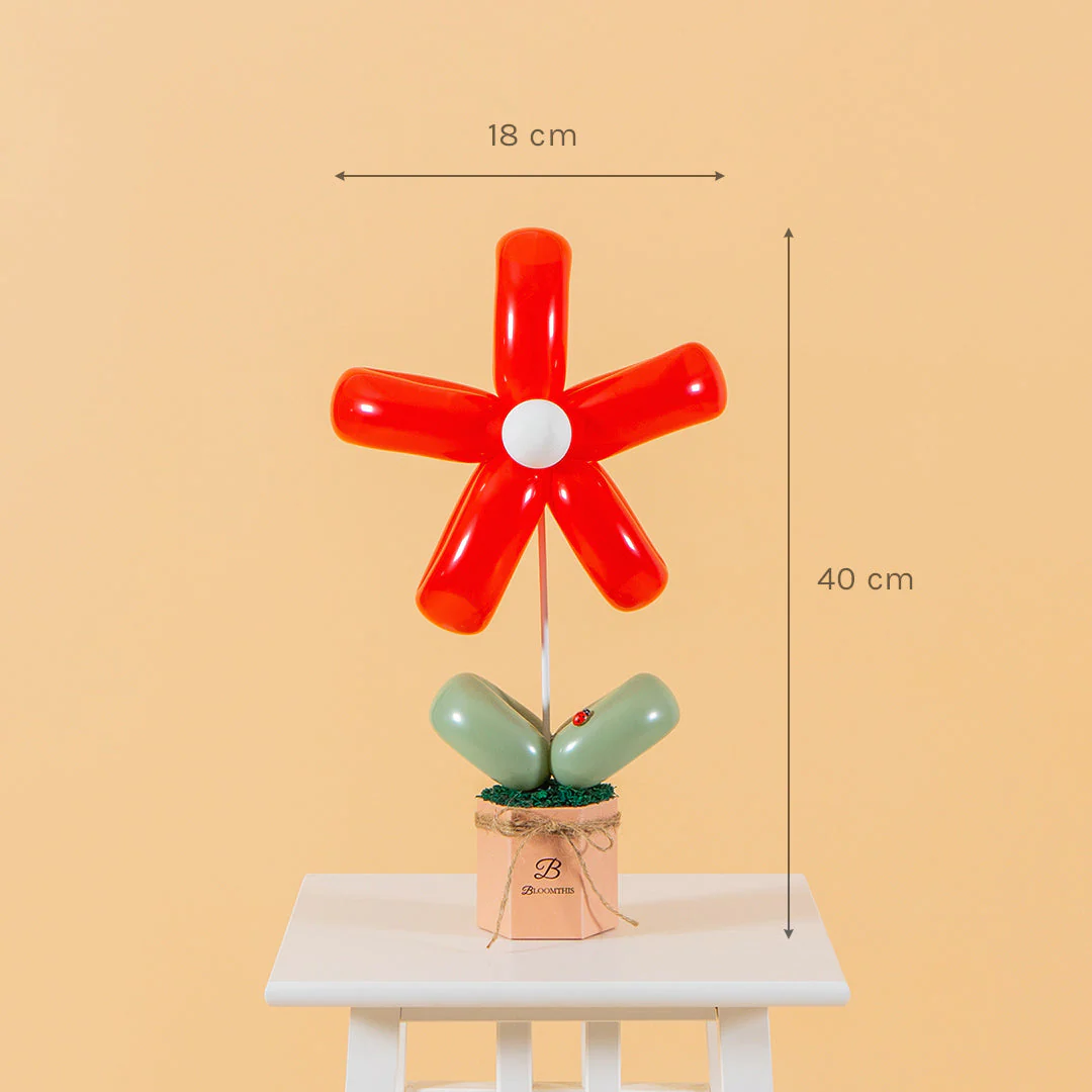 Red Daisy Balloon Box (AO) - Image 6