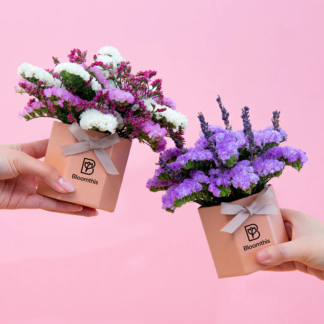 Shamimi Statice Mini Flower Box - Image 4
