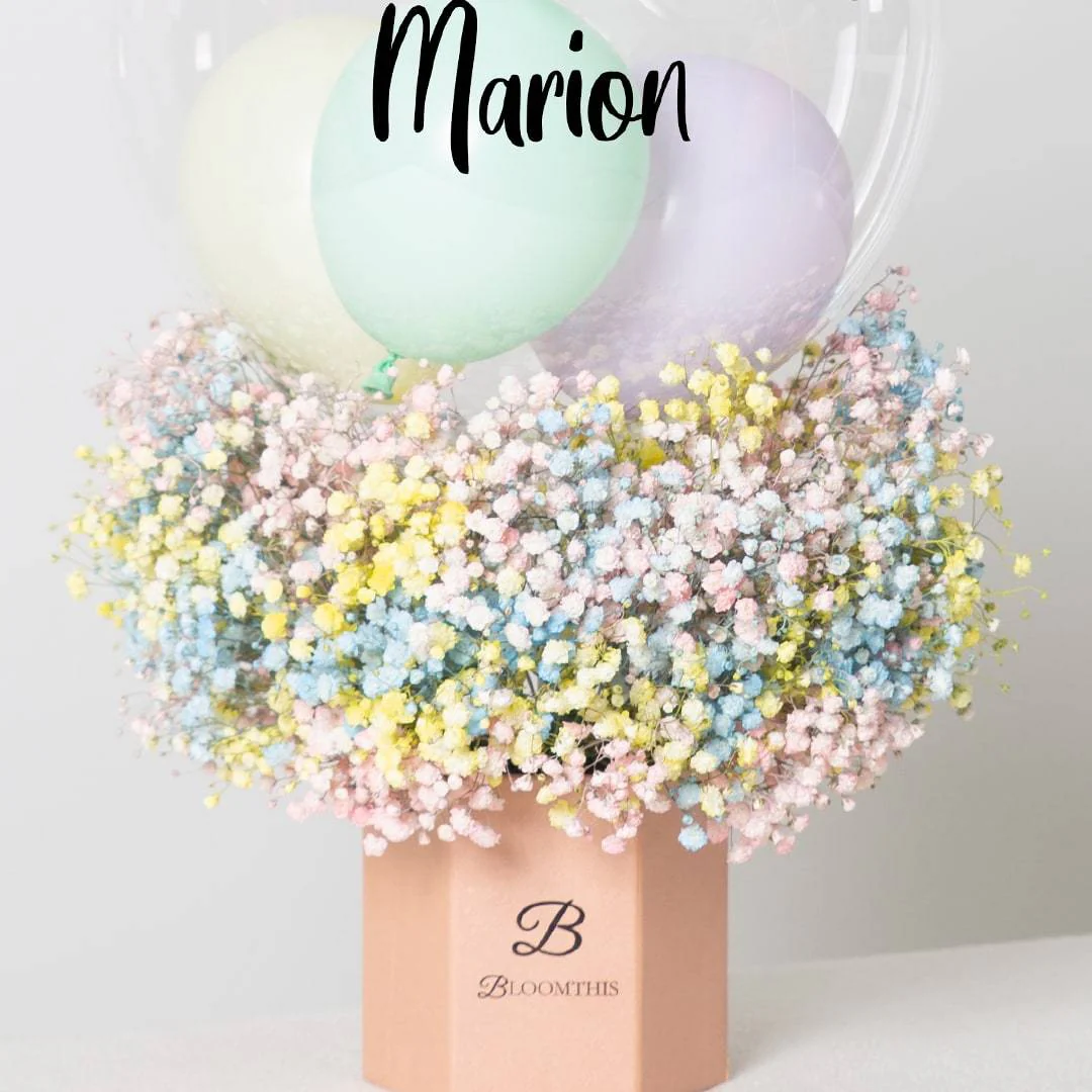 Sierra Balloon Flower Box - Image 3