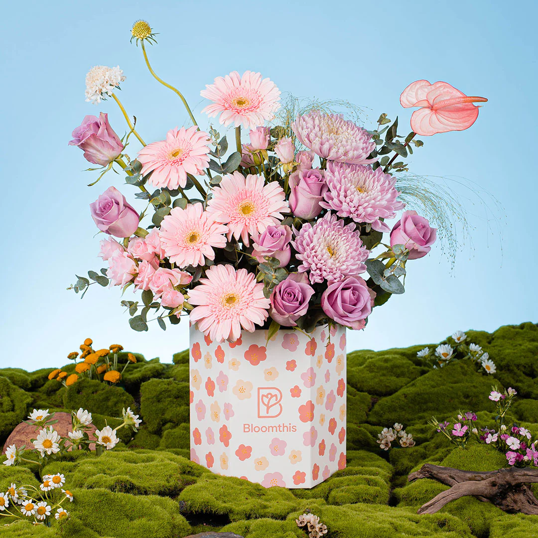 Spring Whimsy Ayame Pink Gerbera Flower Box