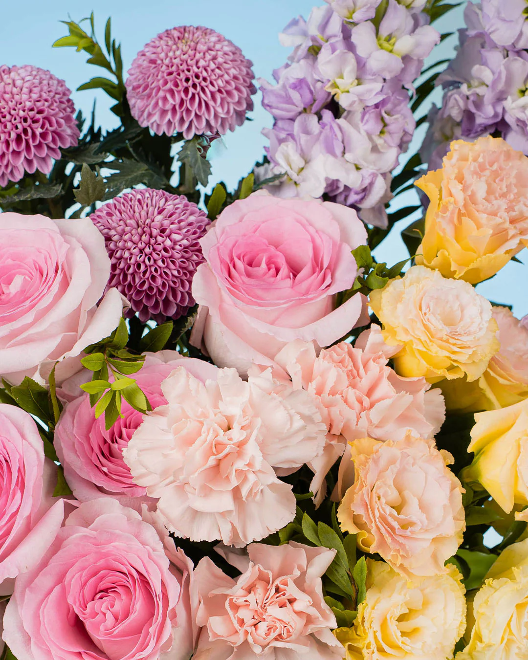 Spring Whimsy Haruka Pink Rose Flower Box - Image 5