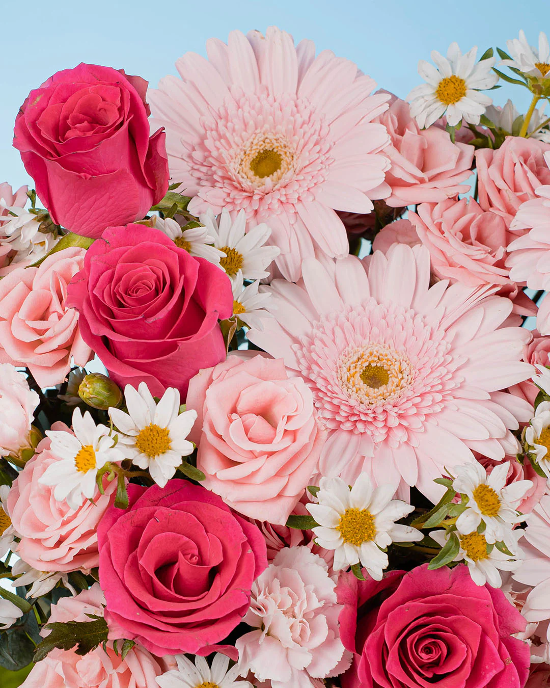 Spring Whimsy Zandra Pink Gerbera Flower Box - Image 5