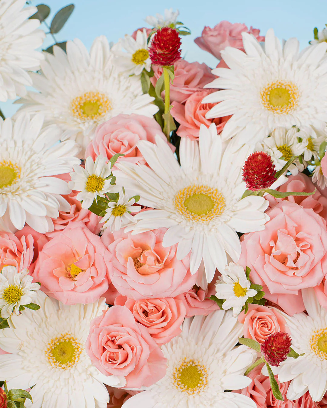 Spring Whimsy Zinnia White Gerbera Flower Box - Image 5