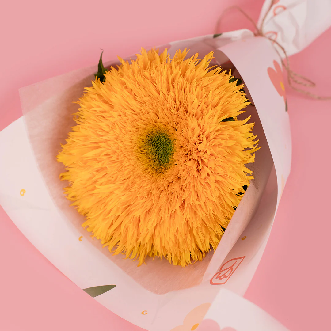 Trixia Yellow Teddy Sunflower Bouquet Set (3 pcs) - Image 4
