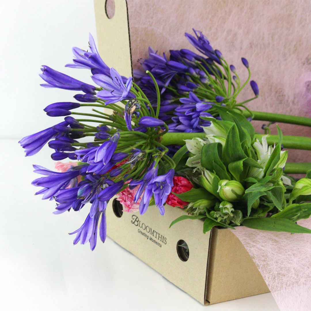 Weekly Subscription - Image 11