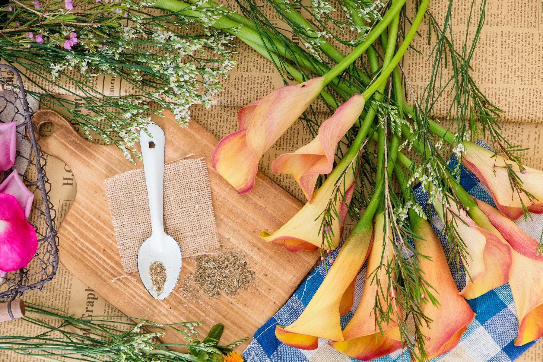 Weekly Subscription - Image 4