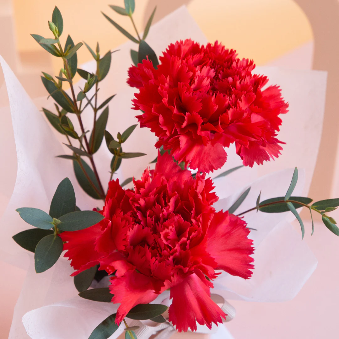 Wynona Carnation Mini Flower Box - Image 5