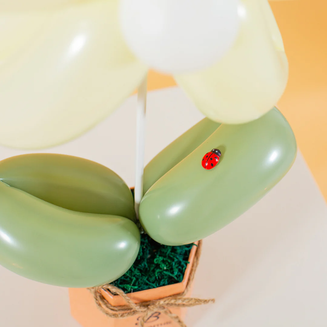 Yellow Daisy Balloon Box - Image 6