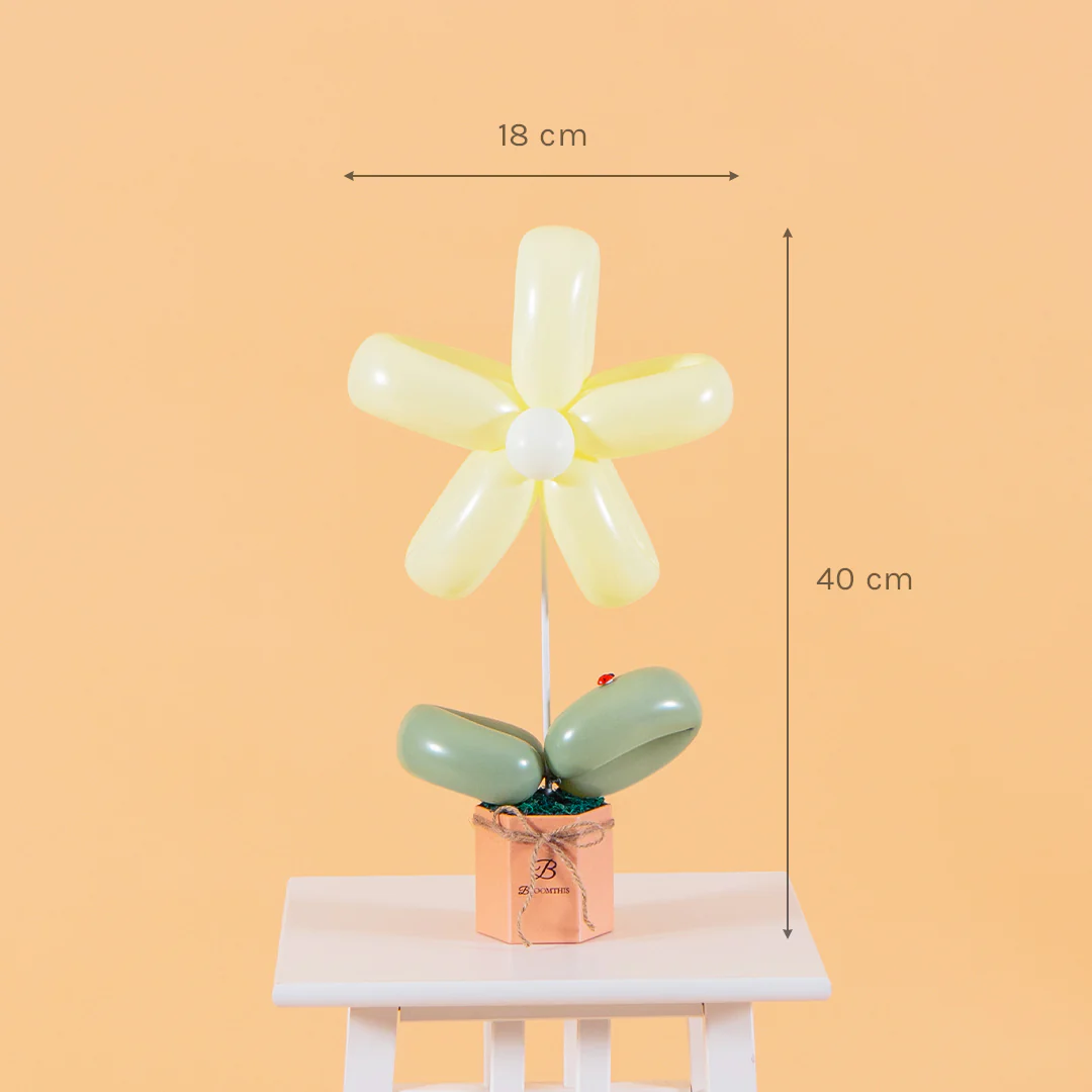Yellow Daisy Balloon Box - Image 7